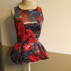 Size 2 GORGEOUS STUNNING Sequin Anthropologie Top
